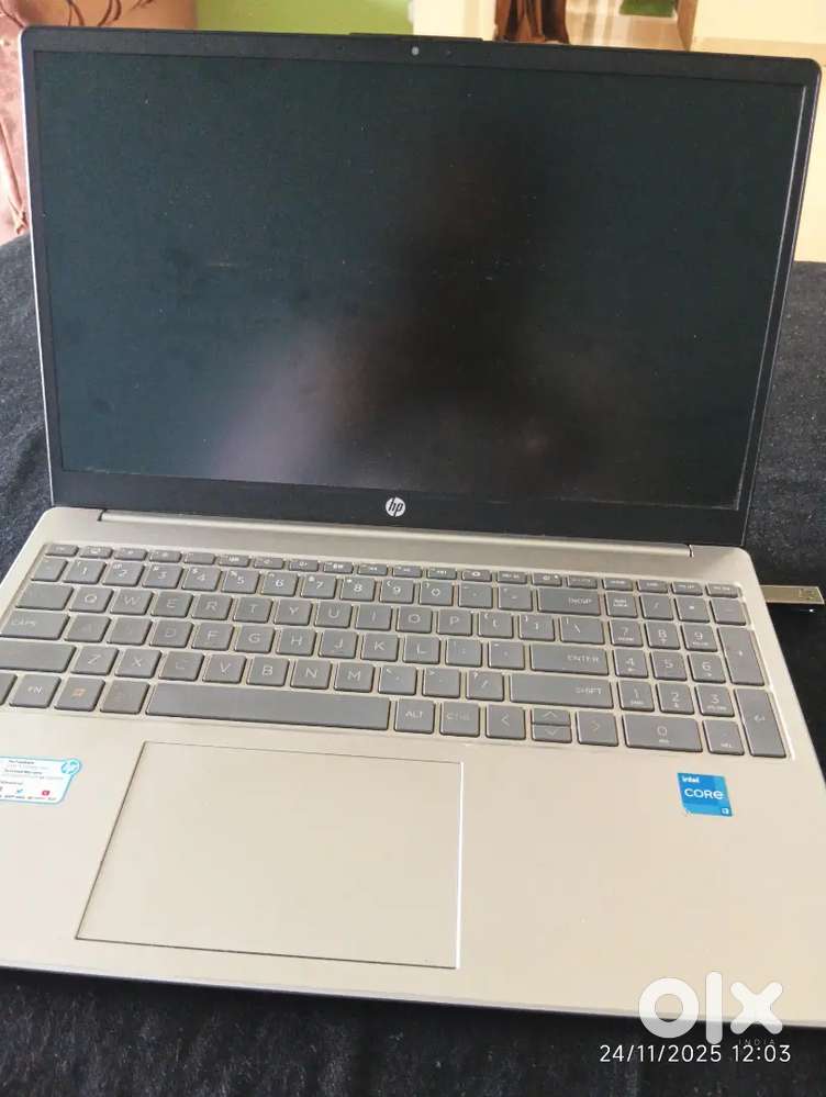 Assistant accountant-Female