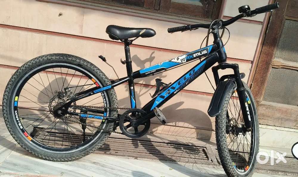 Vivelo maximus bicycle