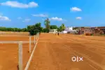 Open plots at Rajapur Shadnagar