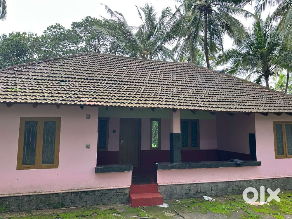 House for rent at Poinachi kasaragod