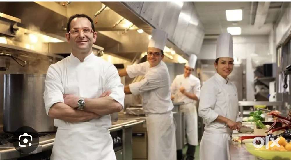 Wanted Chinese  continental chefs in kurnool