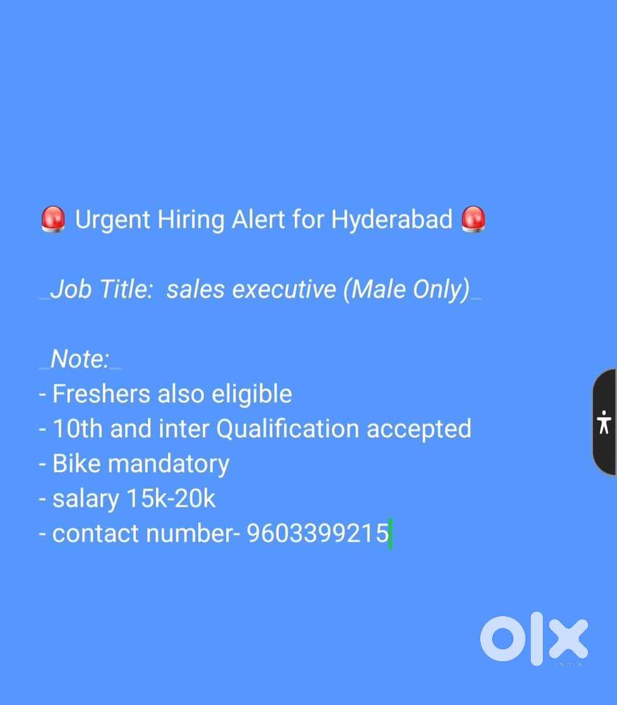 Sales executive