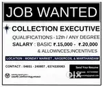 Collection Executive