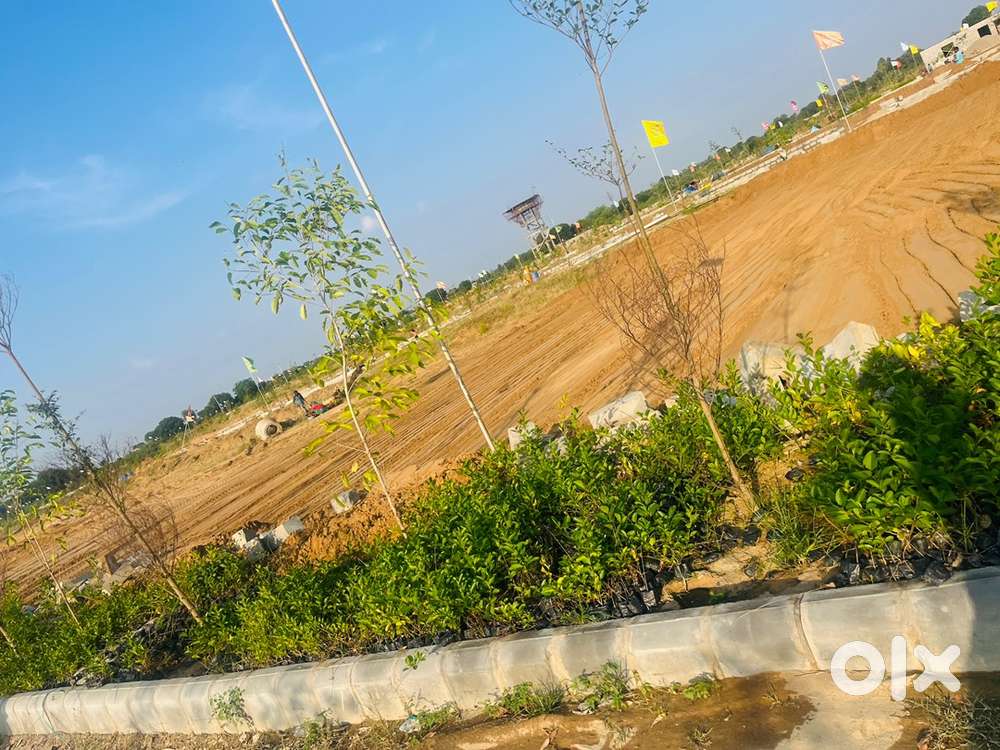 SEZ Meadows Farm – Ajmer Road का सबसे बेहतरीन Farmhouse Project