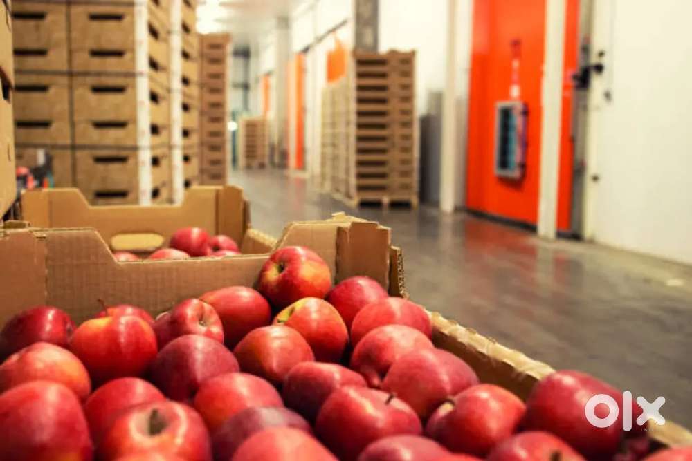 NEED MALE/FEMALE PACKING /SORTING STAFF FOR WAREHOUSE [DAY,NIGHT,P/F]