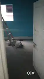 Room for rent in Topsia Maruti Bagan In Nayi Basti Area