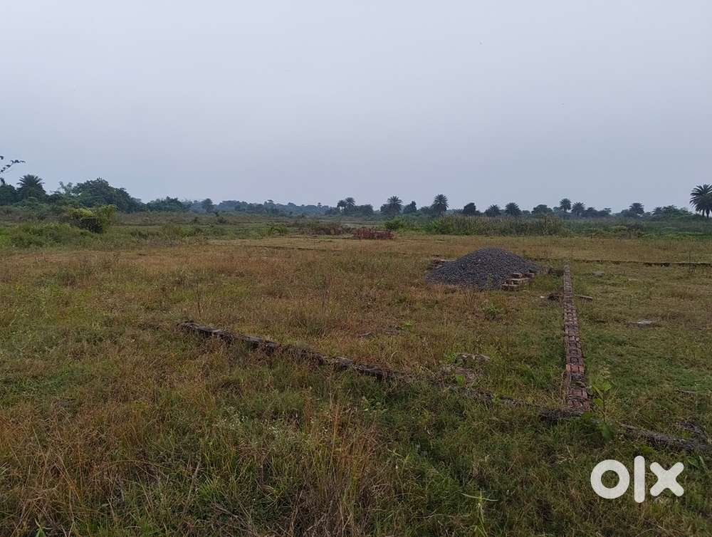 Per katha price 3 lakh 20 thousand