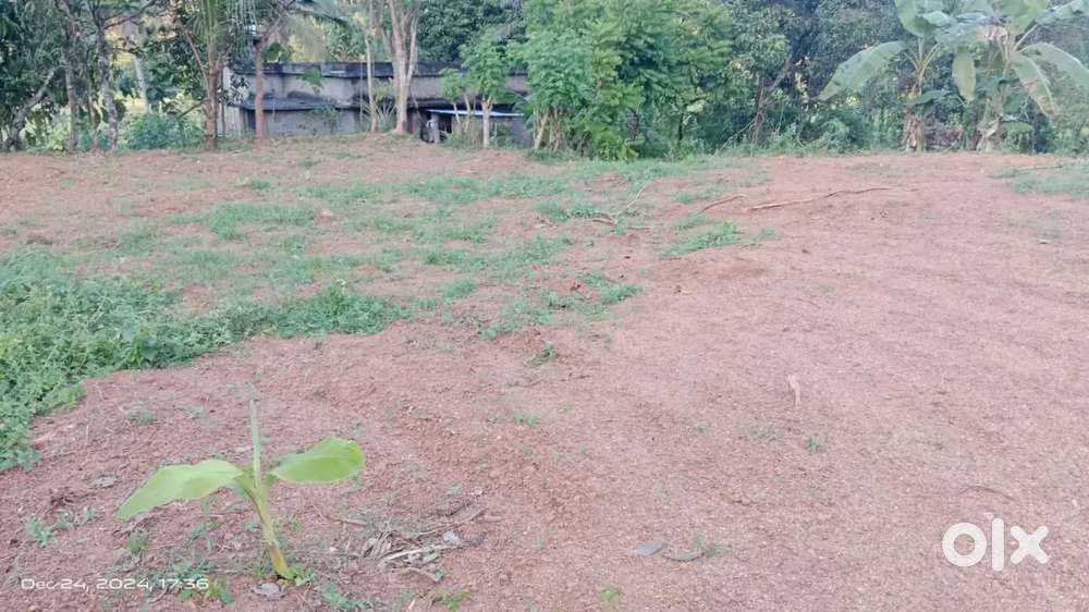 45 സെൻറ് സ്ഥലം വില്പനക്ക് കൊട്ടാരക്കര മുനിസിപ്പൽ പരിധി നെല്ലിക്കുന്നം