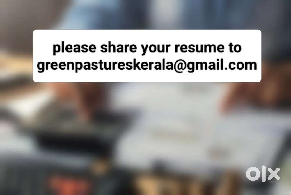 Experienced accountant required for a fertilizer company in pampady