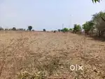 3 ACRES FERTILE AGRICULTURAL LAND FOR SALE NEAR DHOTRA CHAURASTA