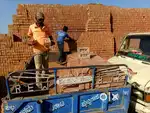 Tractor Driver & Labour