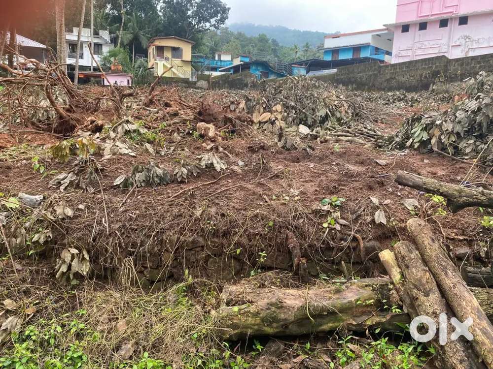 Main Road 19 cent plot on Pappanamcode Malayinkeezhu road side