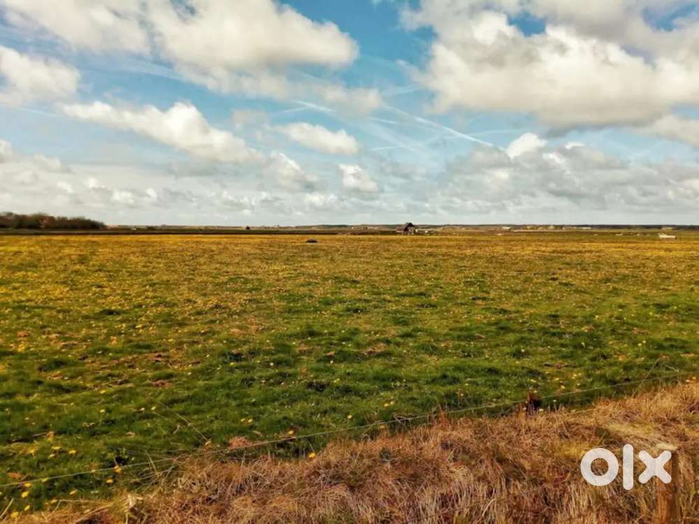 RESIDENTIAL PLOT FOR SALE, BICHOLIM, AREA 287SQMTS, PRICE@₹6900/SQMTS