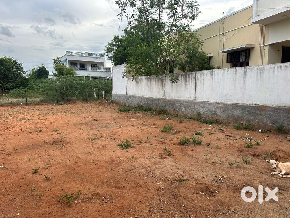 Abdul rahman nagar near tiruchendur byepass