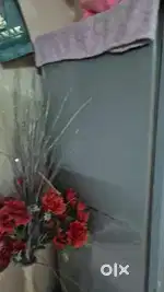 Whirlpool company