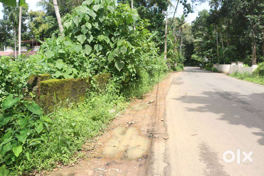 Land 1.90 acres at PWD main road 2.10 lakh/cent