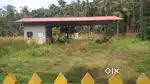 8.88Cent Residential Land For Sale at Alavil,Kannur (ml)