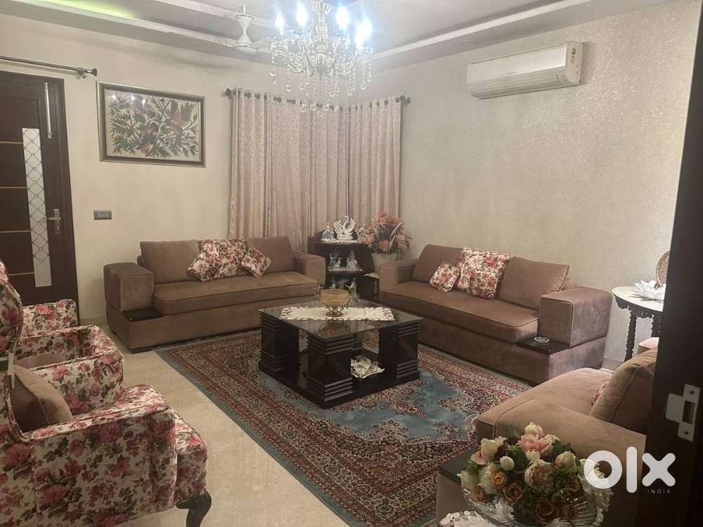 Luxurious Drawing room Furniture