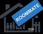 Need roommate for staying in FLAT