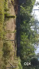 5 cent plot for sale