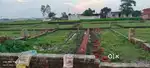 Urgent sell Naushad kesav risort gkp