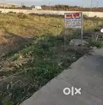 3 bhk individual house for rent in Shiv City