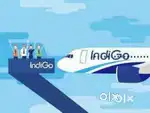 Cabin Crew/Airport Ground Staff Jobs In Indigo Airlines Apply Fast.