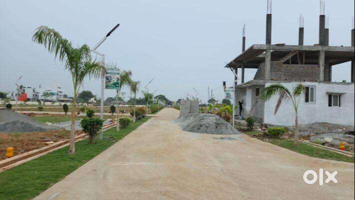 DC converted/ BIAAPA plots- ready to register