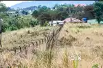 Shillong Land