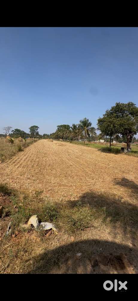 Total 75 kuntas 1acre 2kuntas and 33kuntas  of land for sale