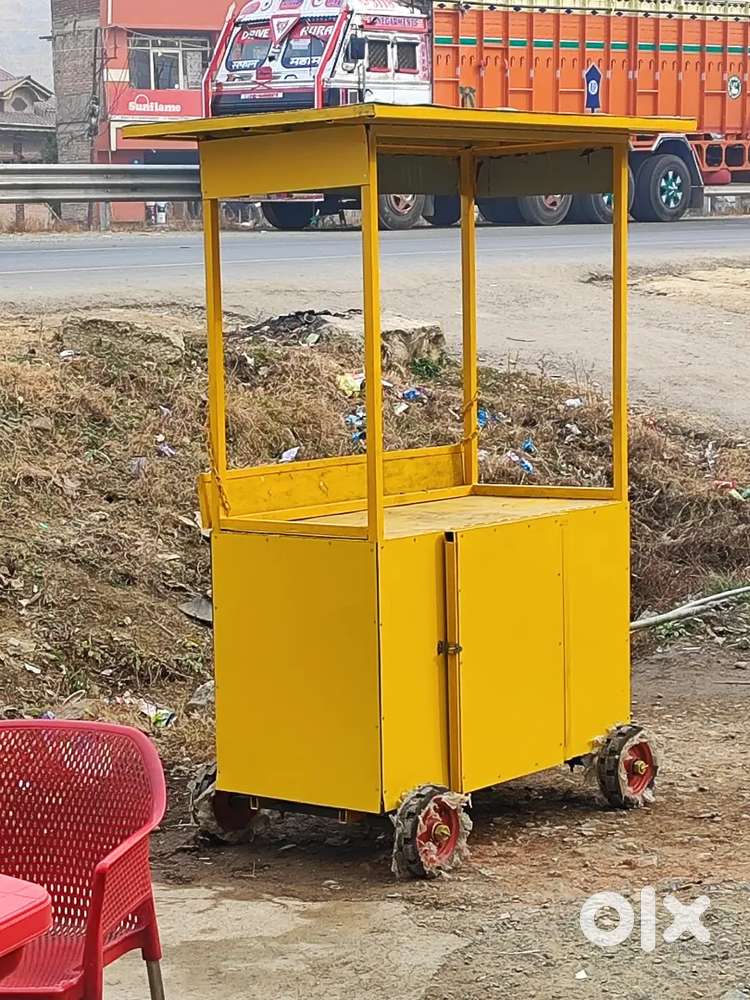 Food cart and ss commercial tandoor