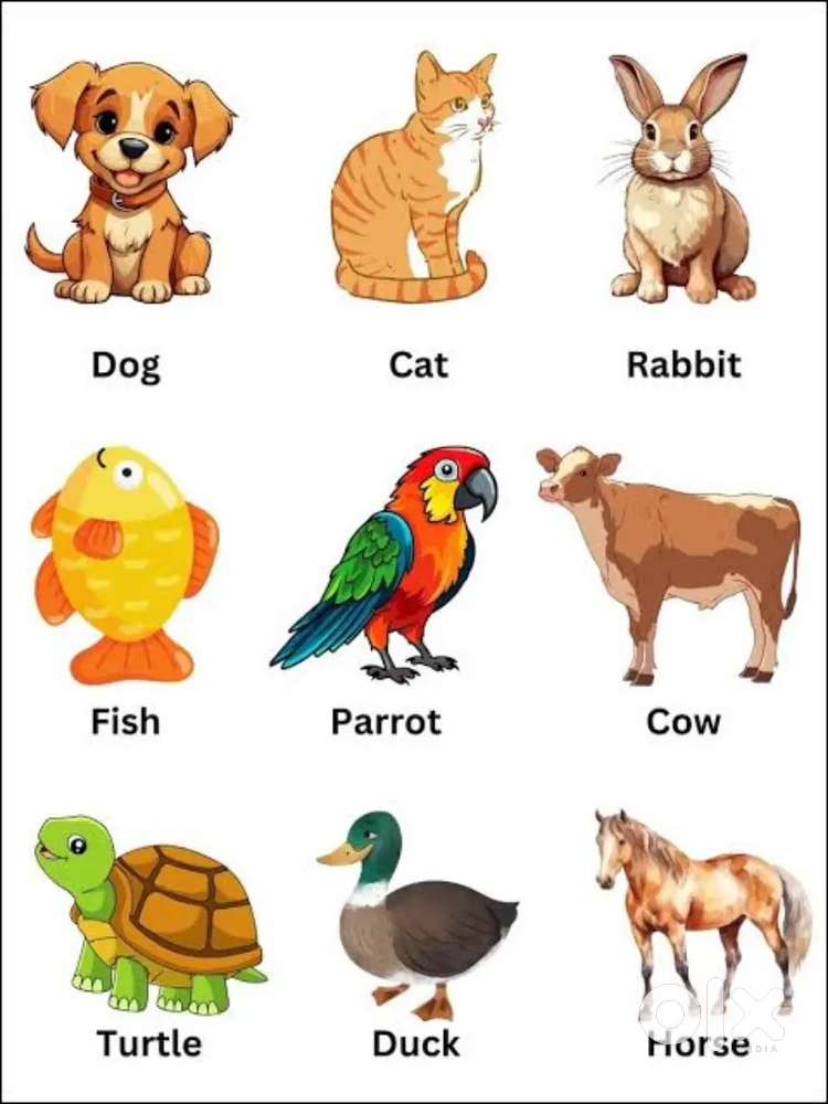 NEED A BOY OR GIRL FOR PET SHOP