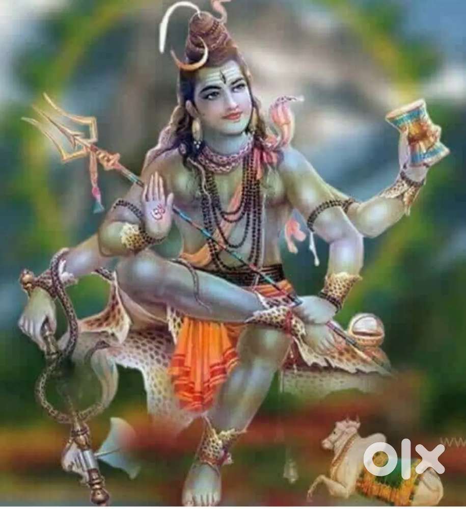 2 bedrooms lobby kitchen bath ground floor Nanak Nagar