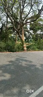 Orma utter tola near pataliputra school , highway 1.5 kilometres