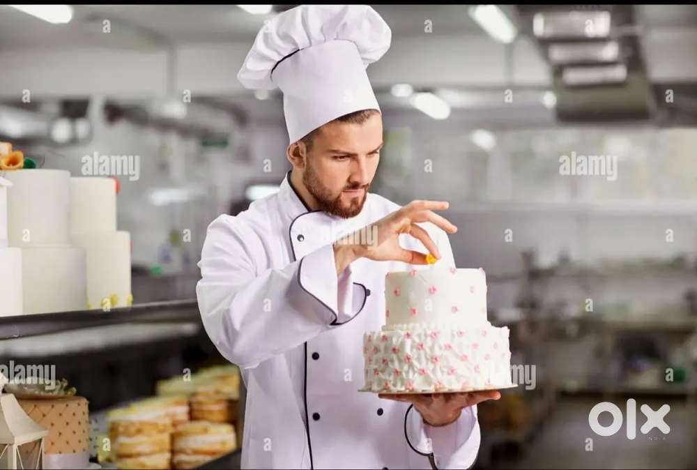 We are looking for senior pastry chef for bakery tasks ³