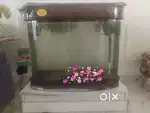Aquarium for sale