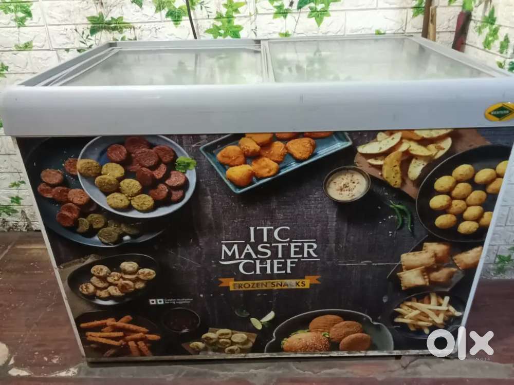 Deep Freezer 325Ltr