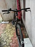 Big bicycle with dis break