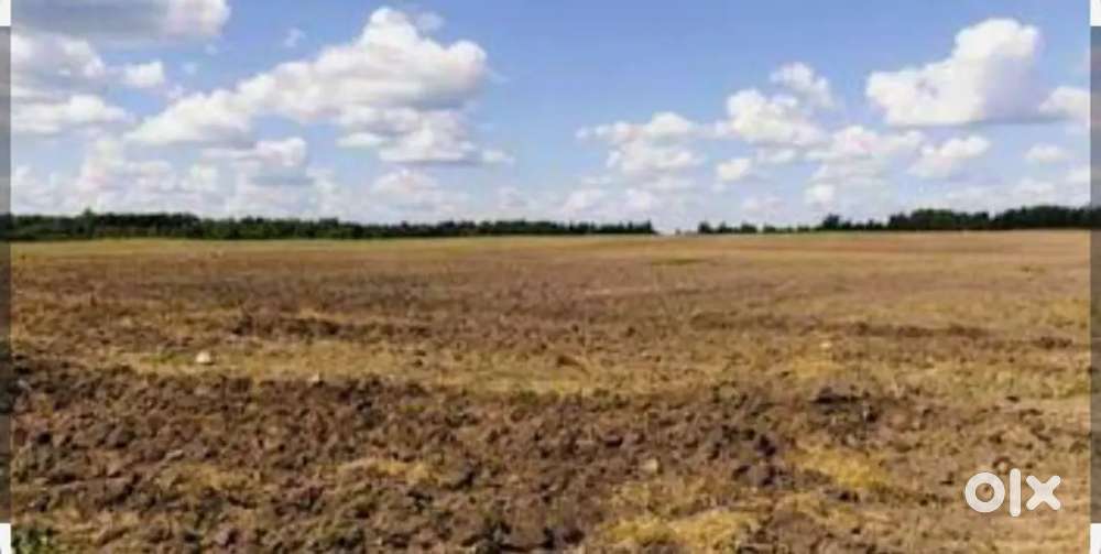 Land for sale