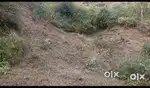 7 biswa plot for sale in mehli near Clifton valley