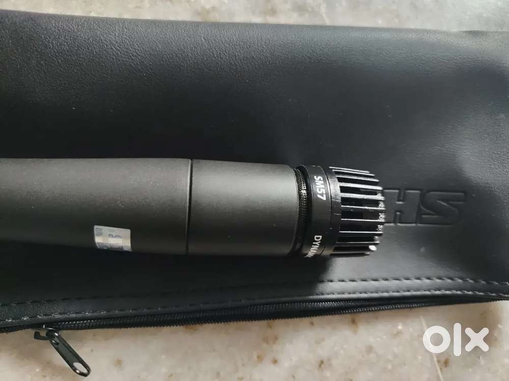 Playback mic for singing