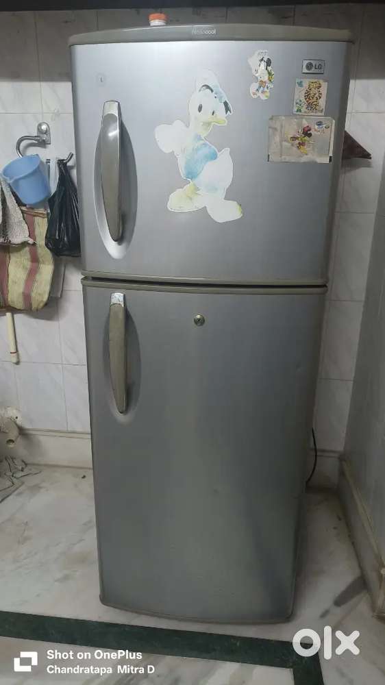 LG double door freeze