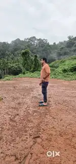 Urgent sale.. Delambadi mayyala.. 2 acre 10 sent.. കോൺഗ്രീറ്റ് റോഡ്