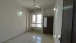 Need roommate