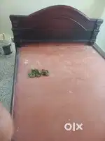 Double cot