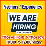 Urgent require office, assistant and office, Boys