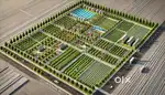 FARM PLOTS @ 999/- per sq.yd @ Kangti