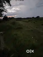 Owned property