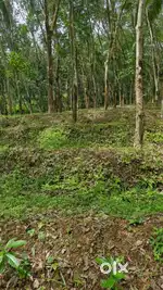 Plot for sale karatte- kallara road Thiruvananthapuram