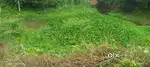 2 ktha eksonia plot sale a